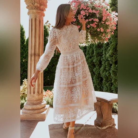 NWT Ivy City Co Sicily Dress Champagne Lining Size Medium - Picture 15 of 15